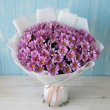 Букет цветов из:  Хризантемы #REPLACE_PRED# Газопроводск