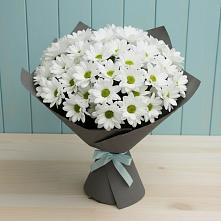 Букет цветов из:  Хризантемы #REPLACE_PRED# Газопроводск
