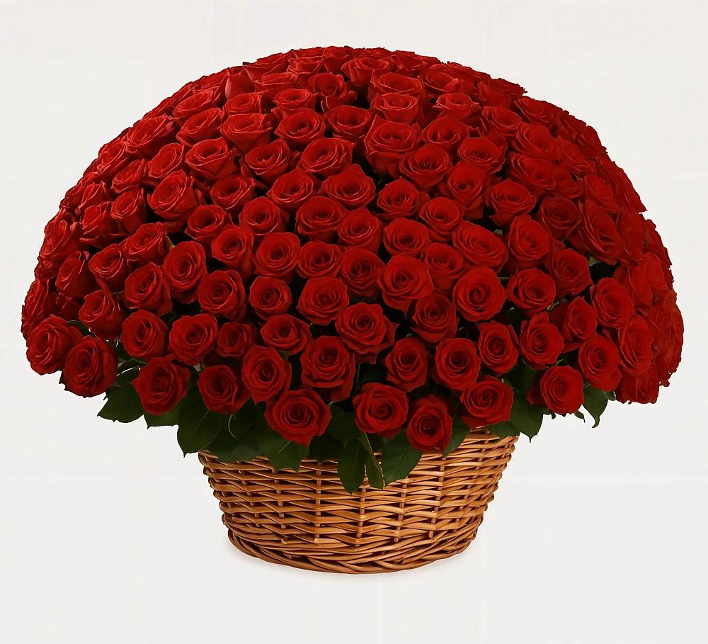 Премиум букет из: Розы в Газопроводск