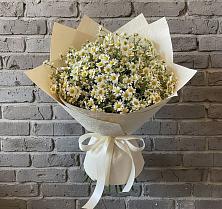 Букет цветов из:  Ромашки в Газопроводск