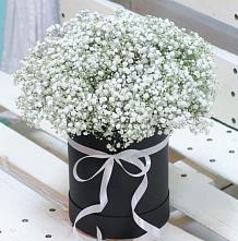 Цветочная композиция из Гипсофила в шляпной коробке #REPLACE_PRED# Газопроводск