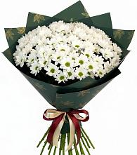 Букет цветов из:  Хризантемы #REPLACE_PRED# Газопроводск