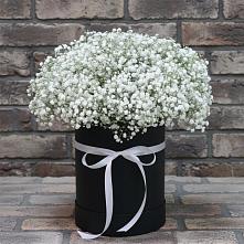 Цветочная композиция из Гипсофила в шляпной коробке в Газопроводск
