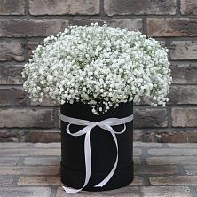 Цветочная композиция из Гипсофила в шляпной коробке в Газопроводск